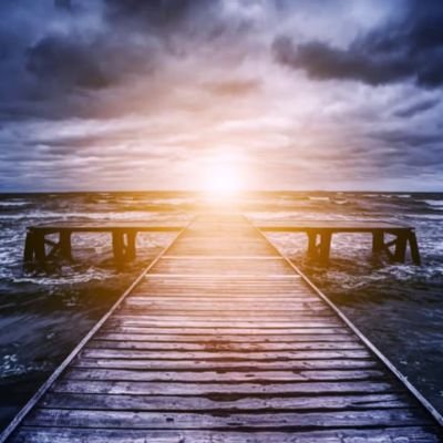 How Young Entrepreneurs Can Build Resilience in Turbulent Times