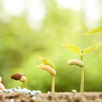 Planting Seeds of Hope and Perseverance