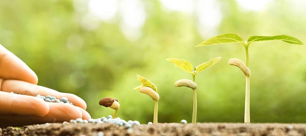 Planting Seeds of Hope and Perseverance